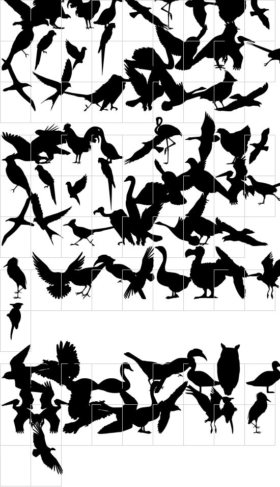 Birds of a Feather font