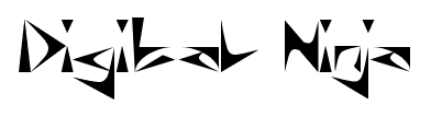 Digital Ninja font