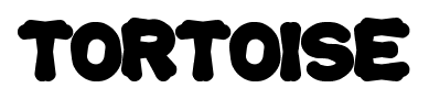 tortoise font