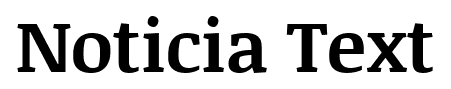 Noticia Text font