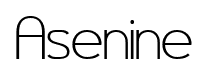 Asenine font