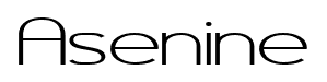 Asenine font