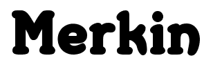 Merkin font