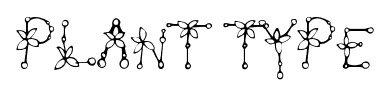 Plant Type font