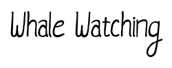 Whale Watching font