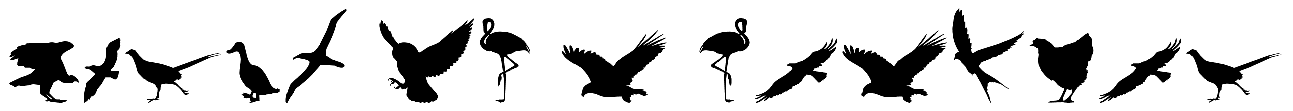 Birds of a Feather font