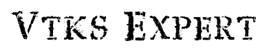 Vtks Expert font