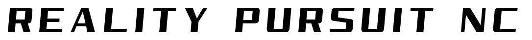Reality Pursuit NC font