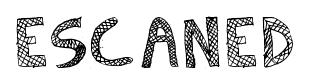 Escaned font