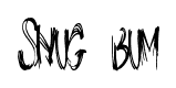 Snug Bum font