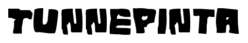 Tunnepinta font