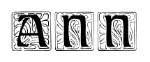 Ann font