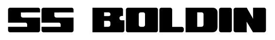 SS Boldin font