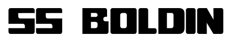SS Boldin font