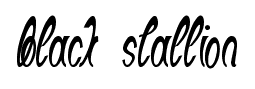Black Stallion font