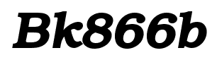 Bk866b font