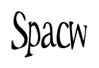 Spacw font