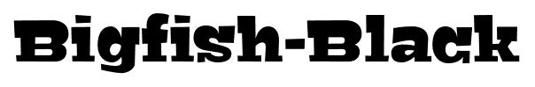 Bigfish-Black font