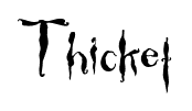 Thicket font
