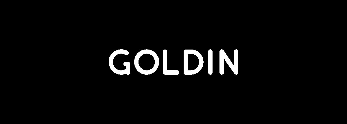 Goldin-Light font